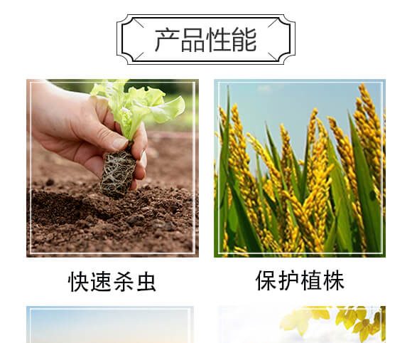 6%�ľ���ȩ��1000�ˣ�-��(zh��n)��-�P�Z����_04