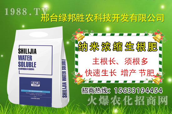 �������þ�����Щԭ�����£�����A(y��)���������ðl(f��)����