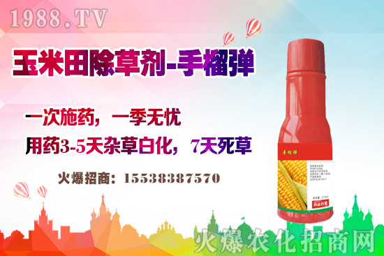 ������������v�������׳��݄��@�Ӵ������L(zh��ng)�s�ݲ�������