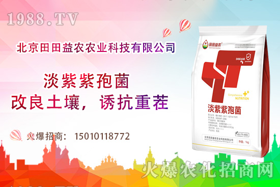 ���t��������c(di��n)����Щ�����t���ļ���ι�����