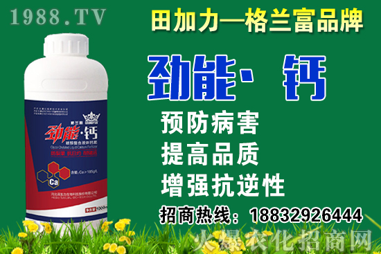 2020���}��ʲô�r(sh��)��N�����}���NֲҪע����Щ��(w��n)�}��