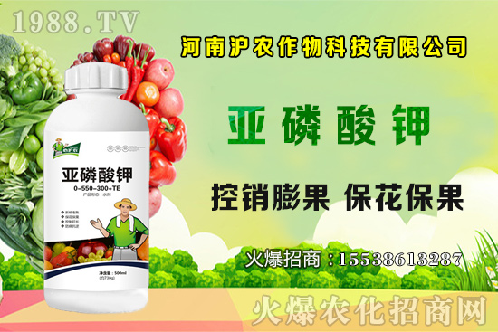 ���[����Ҫ�c(di��n)��֪���������[��Ҋ(ji��n)���x������Щ����η�����