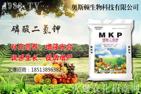 �Ă�Ʒ�N�����Ӹ��ó����҇����Ӯa�ؼ�Ʒ�N����Щ��