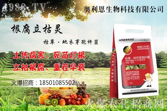 �S����ʲô����(ji��)�������S���˷Nֲ������B��