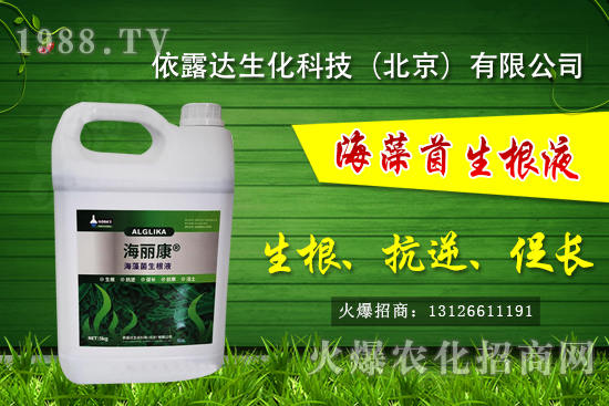 獼猴桃有哪些品種,獼猴桃和奇異果有什么區(qū)別?