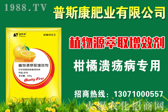 ���ןo�������༼�gҪ�c�����ײ��՘˜ʼ�������