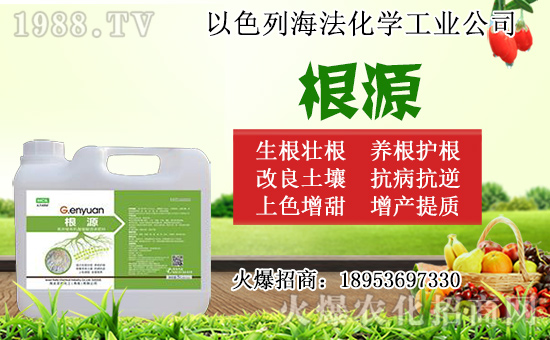 �o������ôǤ�����o����Ǥ��r(sh��)�g��Ǥ�己ֳ������