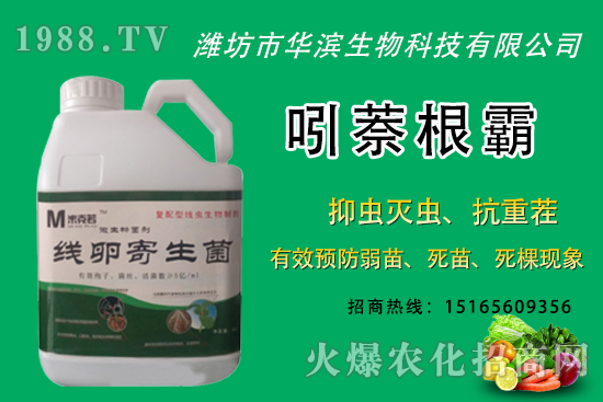 �o�����NֲʲôƷ�N�^�����o����Ƥ���ԳԆ᣿�Nֲǰ��������