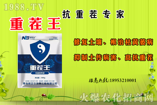 ɽ��ʲô����(ji��)������ɽ�����Ҫ�a(ch��n)������������ôʳ����