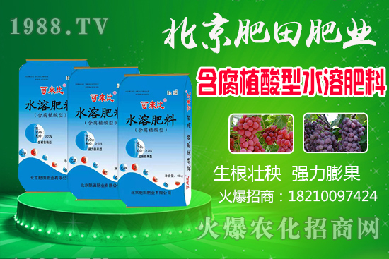 �J�̮a���������J��ʲô�r��������������x�J����