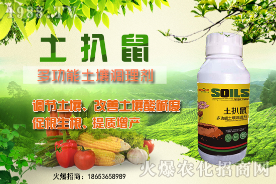 檳榔苗什么時候種植?檳榔苗怎么選?種植深度怎么算?