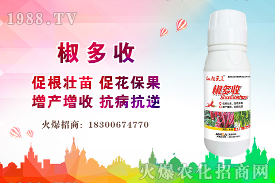 С���r������Xһ����2020�����С���r��߀���ϝq����