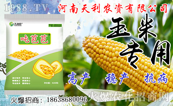 �N�˅������ג겻���X���Nֲǰ����Σ��˅����N����ô�N��