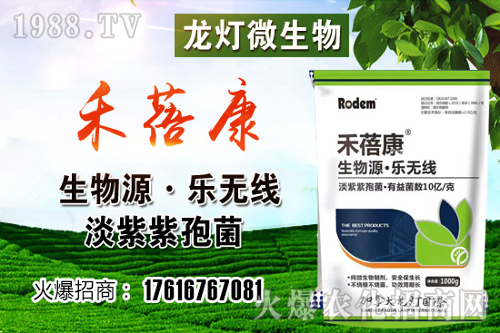 ���t���ڷ۷����������t��¶��ʹ���Nֲ�кβ�ͬ��