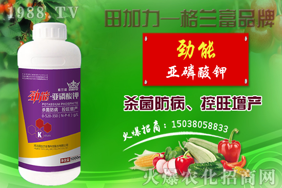 �޻������������ʩ�ʣ��޻�������Լ�ʩ��ԭ�t��