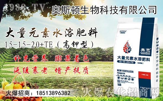 �����޽ӷ�������Щ�������޽ӳɻ�����������