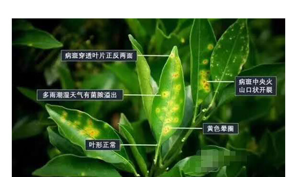 �ݲ�ѿ�ߗU��-һ����-Ӣ����_05