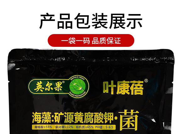 ����VԴ�S����⛡���-�~����-Ӣ����_11