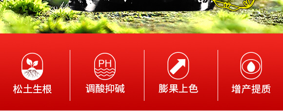 ����VԴ�S����⛡���-�~����-Ӣ����_03