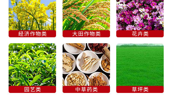 240g懸浮硅鉀-英爾果_07