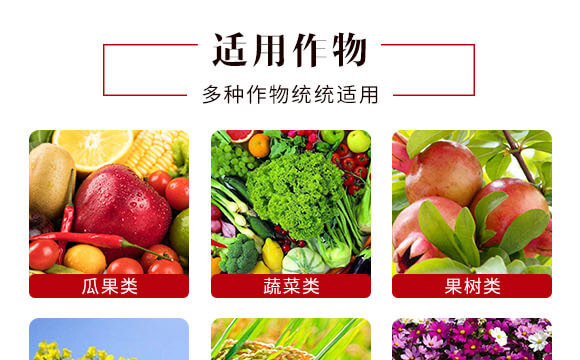 240g懸浮硅鉀-英爾果_06