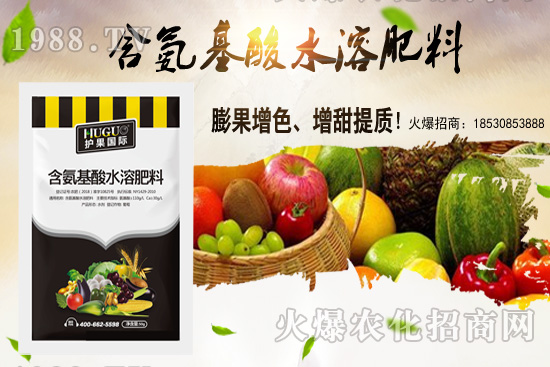 �|���m����ʲô����(ji��)�������|������M(j��n)�зNֲ��