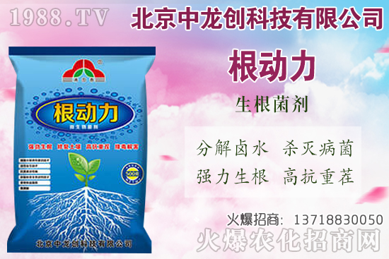 ���}���������������Щ�����}��ʩ�ʼ��g(sh��)Ҫ�c��