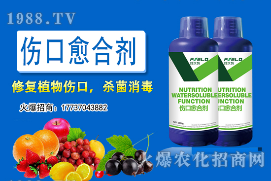 小麥底肥用二銨還是用復合肥?小麥施底肥究竟該怎么施?