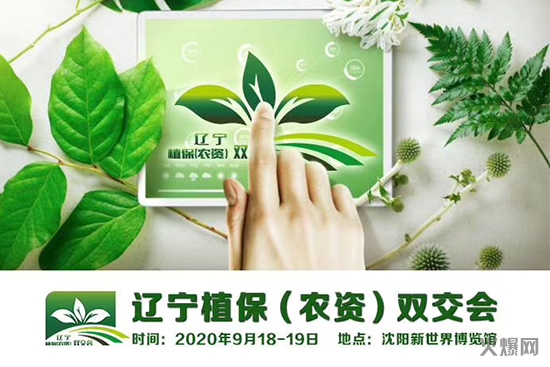 �|��ֲ�����r(n��ng)�Y���p����