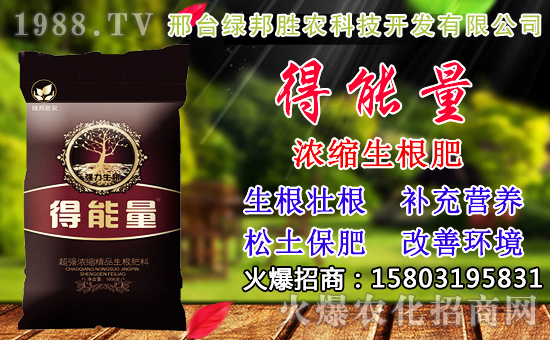 2020��С���N������x���߮a(ch��n)С��Ʒ�N����Щ��