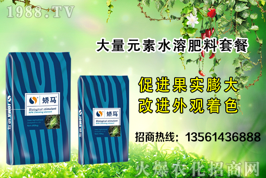 �＾����ʩ�ʵĺ�̎����Щ���＾����ʩ��ָ��(d��o)������