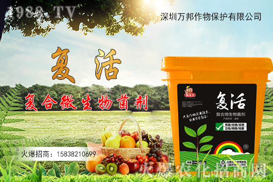 ���������ԷN������M(j��n)�й�������ʲô����Ҫ�c(di��n)��