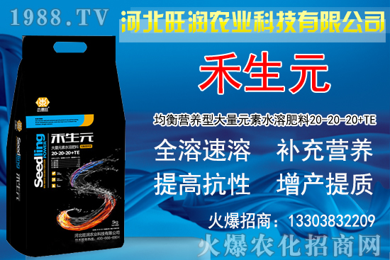 2020�Nֲ���y��ٍ�X�������y�����L�l�����Nֲǰ����