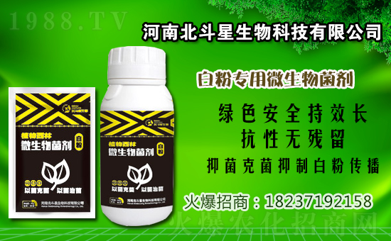 2021年2月12日福美鋅農(nóng)藥價格廠商報價: