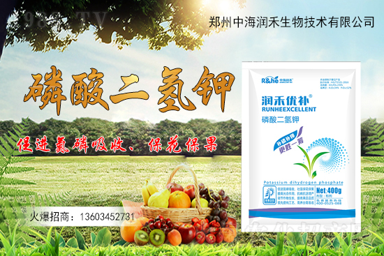 ����һ���굽��ԓ��ôʩ��������ʩ��ע���������Щ��