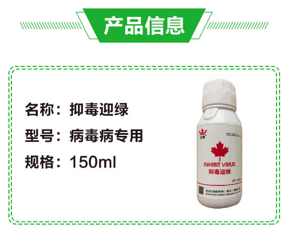 �ֶ�ӭ�G�����β�������-�G��_02