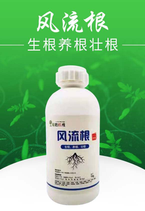 �L�����������B(y��ng)���Ѹ���-�G��_01