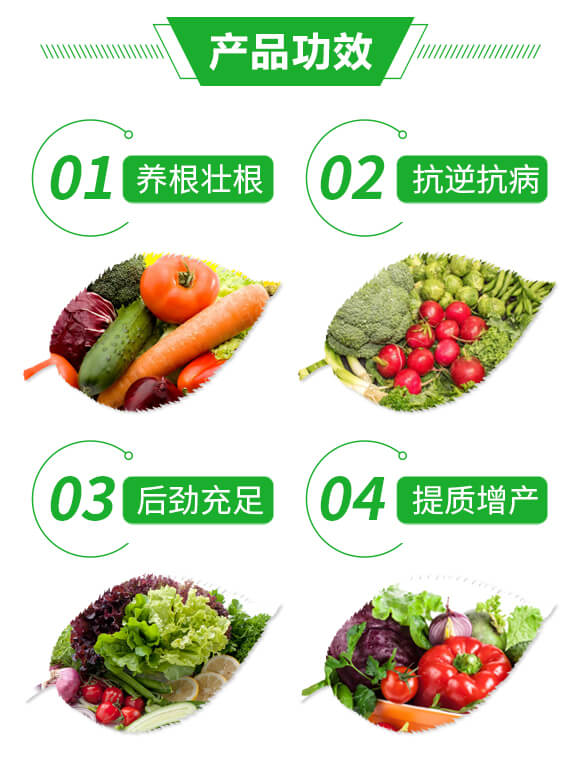 �L�����������B(y��ng)���Ѹ���-�G��_03