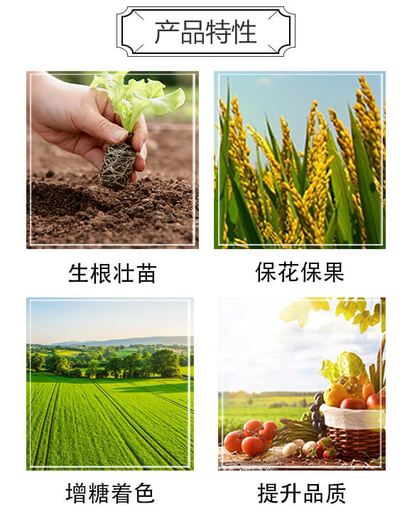 ø���~(y��)����ԭ�{-ϲ�~(y��)��20kg��-��ķɳ_03