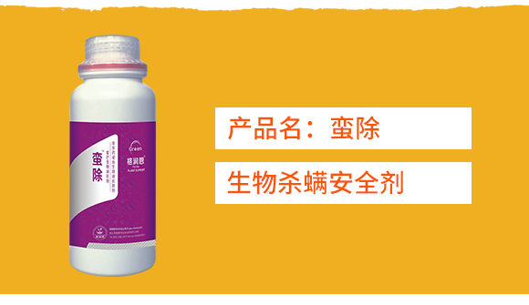 �������-�U������ƿ��-�񝙶�_02