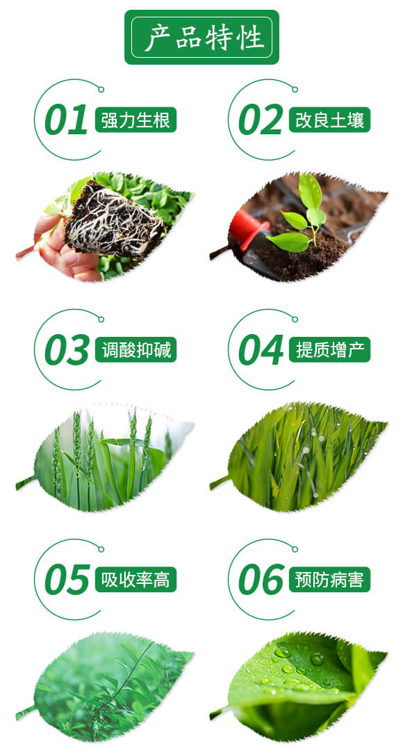 �VԴ�S�����\���-���S��-�������r��_03