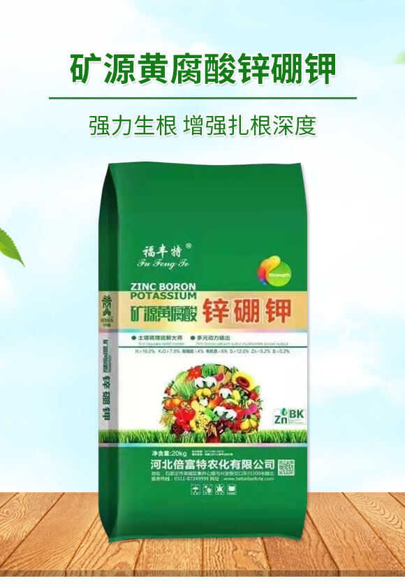 �VԴ�S�����\���-���S��-�������r��_01