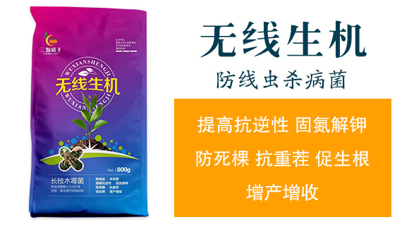 �o�����C(j��)-���w����_02