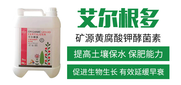 �VԴ�S����⛽;���-��������-�������r(n��ng)��_02