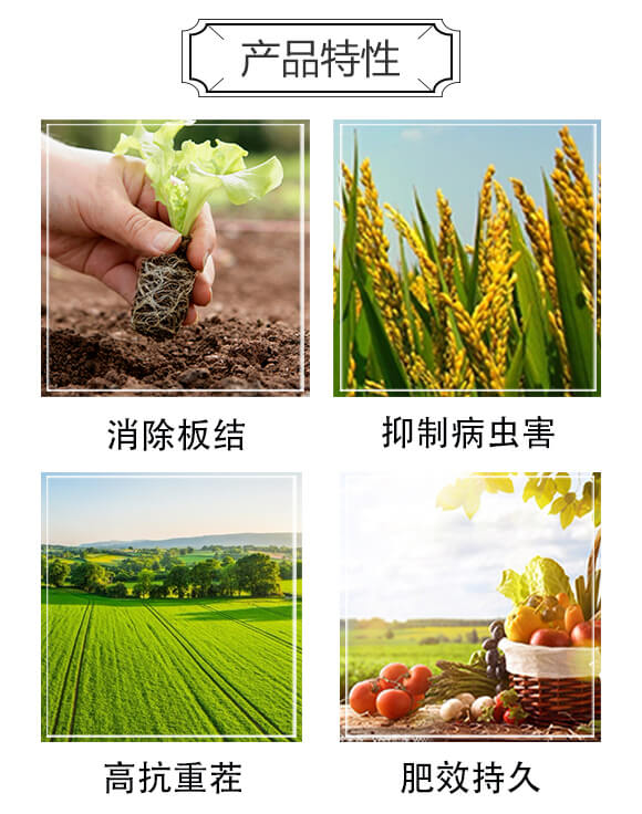 ������΢�������-���S��_02