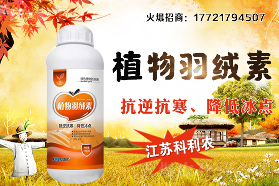 �����׷Nֲ�ܶ���ΰ�����������ʩ�ʼ��к��ڹ�����