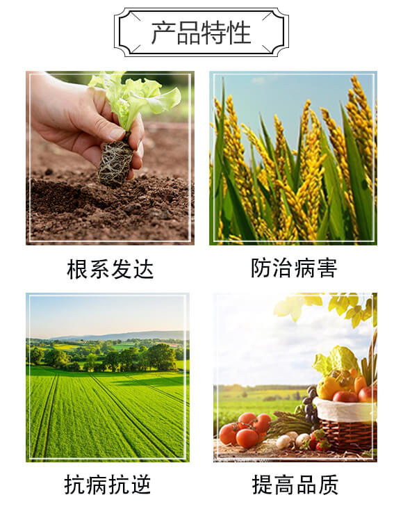 �����ЙC��-���A����_03