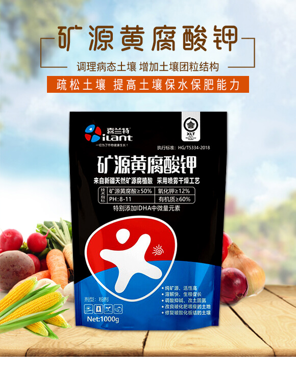 �VԴ�S�����-ϲ�m��_01