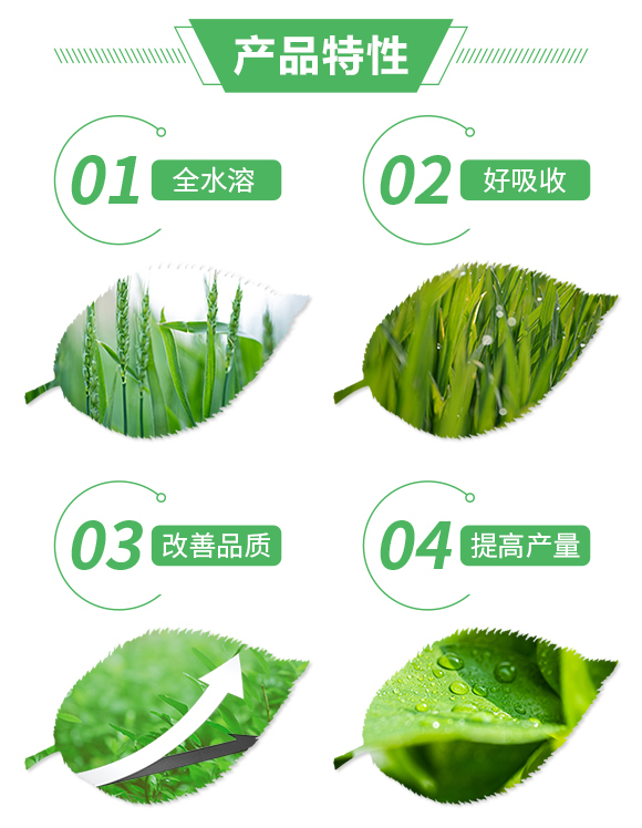 ��(f��)�����18-17-19+6-����(l��)�S_02