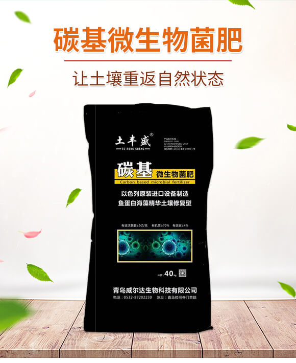 ̼��΢�������-���Sʢ-�����_(d��)_01